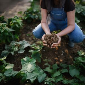 Garden Soil