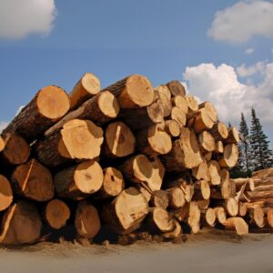 Timber